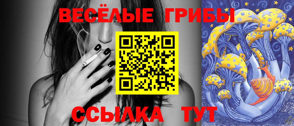 Псилоцибиновые грибы Psilocybine cubensis  Галлюциногенные грибы мицелий  Юрга  Вход с VPN 