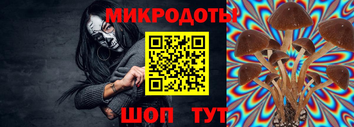 Галлюциногенные грибы прущие грибы Юрга